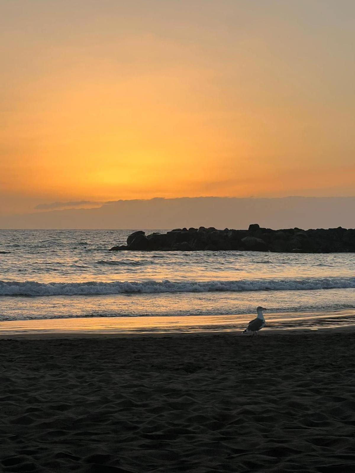 Apartamento en primera línea de playa, céntrico, tranquilo Playa de las Americas  Exterior foto
